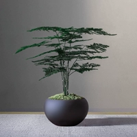 Дзен yimi+wenzhu