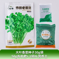 Семена кориандра большого листа 30G_BAG+ 50G Органические удобрения+ 1 мешок 8L Пищевая почва