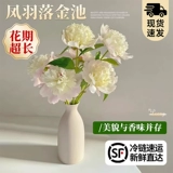Feng yu luo jinchi pei цветок цветок цветок цветок Yunnan прямые волосы Букет шандун Hze Pei Flower Clorte Room Гостиная уход за водой цветы