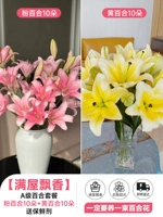 Премиум-пакет лилий [10 розовых лилий + 10 желтых Tianba] без консерванта.