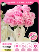 ⭐В наличии, быстрая доставка⭐Салат «Двойной пион» 10 шт. [Свежесрезанные цветы в твердом переплете]