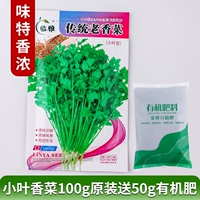 Кориандр труда 100G Оригинальный аромат органических удобрений 50G.