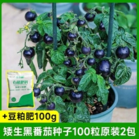 Карликовые черные семена томатов 100 зерна 2 упаковки+удобрение для соевых блюд 100G