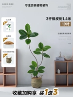 Зеленый соломенный ластик, 1.4м