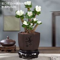 Yujin Money Wood-Shangshan Ruo Water Basin+Круглая база