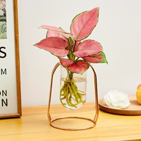 【Новая бутылка】 Geely Red+Позолоченная вода капли