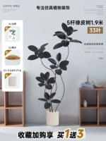 5-полюсное каучуковое дерево 1,9 метра, 33 листа, черный + бежевый полипропиленовый горшок (возможна доставка SF Express)