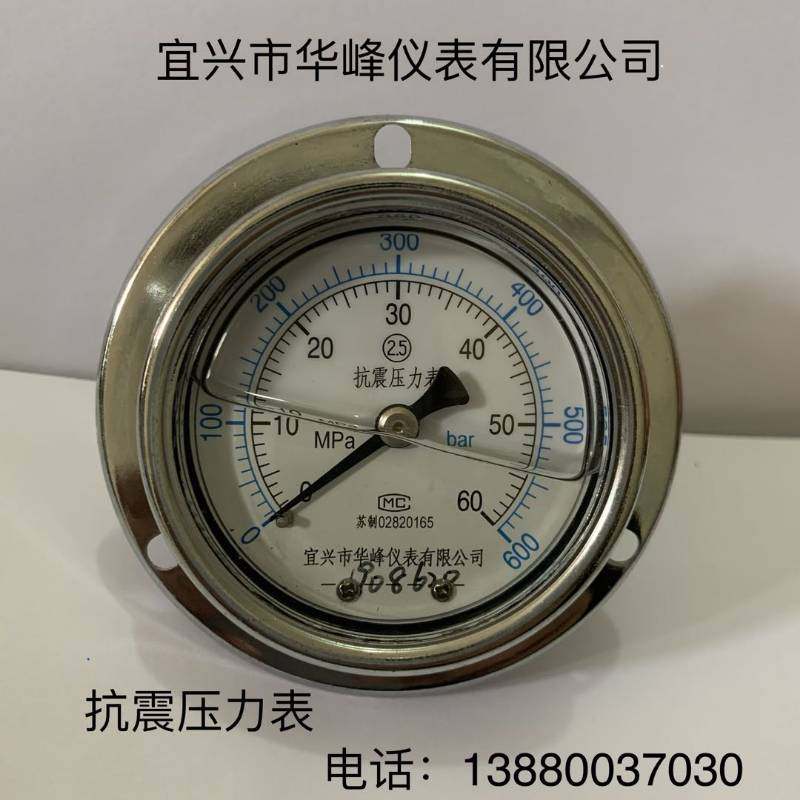 Yixing Huafeng Instrument Co., Ltd. YK60III anti-seismic pressure gauge M14*1 5 thread