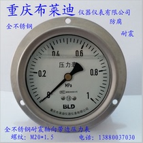 YTN100HZT stainless steel shock resistant pressure gauge M20 * 1 5