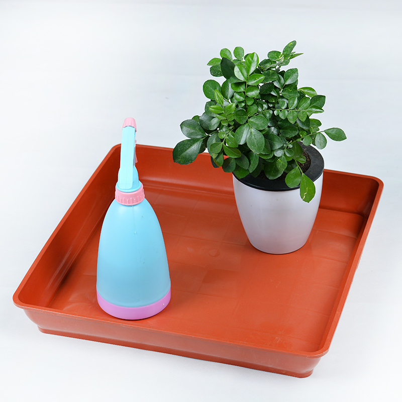 Listen to the fragrant garden Flower Pot in the square Tray Square Bonsai Flower Pots of water plastic square flower depository dish