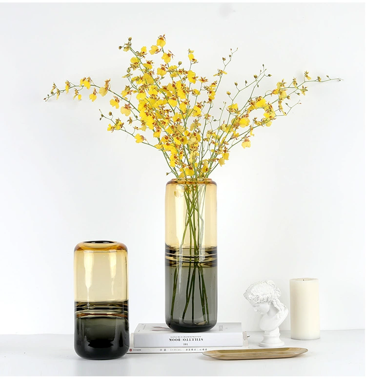 Jane Phong cách châu Âu sáng tạo màu phù hợp với bình thủy tinh hoa tươi cắm hoa khô phòng khách mặt bàn khách sạn mẫu phòng trang trí nhẹ nhàng - Vase / Bồn hoa & Kệ