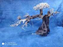Tree-shaped sinking Wood Brazil Sunwood tree water grass fish tank aquarium aquarium landscape set root large natural package skeleton ecology