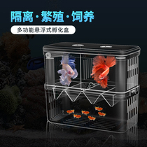 Fish Fry Incubators Small Fish Isolated Boxes Bullfish Peacock Fish Tropical Fish Hatchbox Multifunction Production House Acrylic Plate
