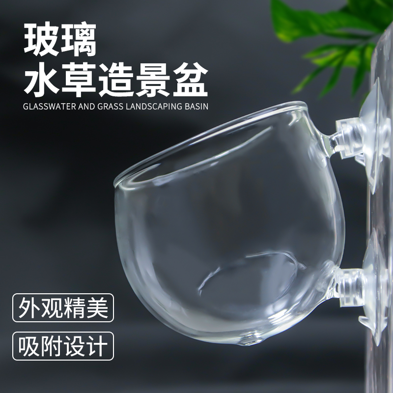 Water-grass planting cups Scenery Basin water Grass Clay Propagation Crystal High Transparent Glass Mark with physical photo Water Grass Cup