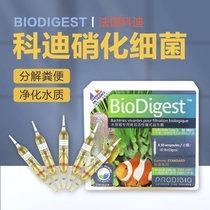 Cody nitrifying bacteria French digestive bacteria grain fish tank with aquatic living bacteria active culture water quality stabilizer fish farming