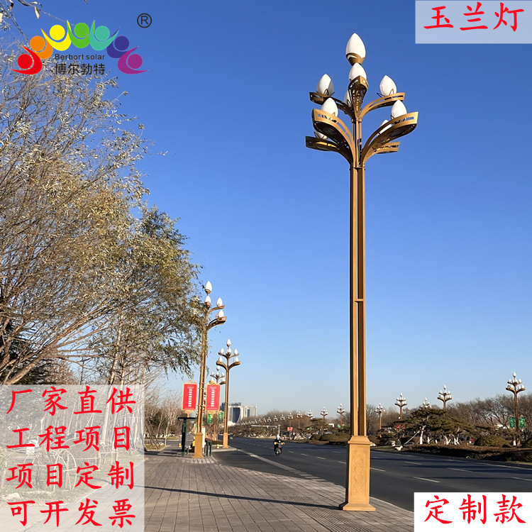 Boerbot 8 meters 10 meters municipal road park square seven fire nine fire Chinese style LED landscape Chinese magnolia lamp