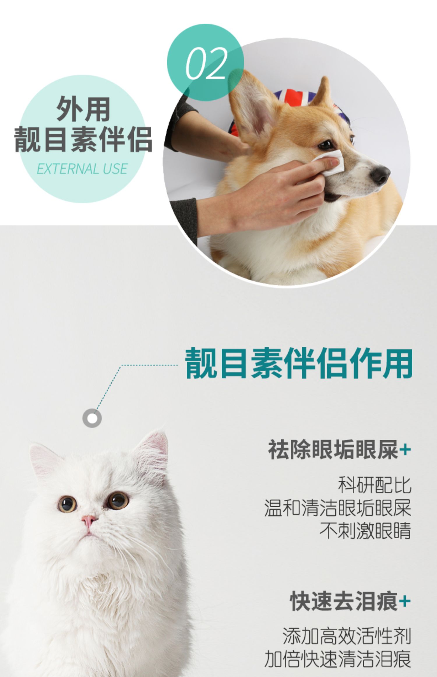 靓 để nước mắt bột nhân tạo xi-rô mắt mèo thuốc nhỏ mắt chống viêm hơn cung gấu - Thuốc nhỏ mắt thuốc nhỏ mắt cool