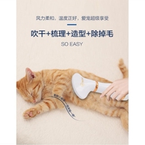 2-in-1 Pet Hot Air Comb