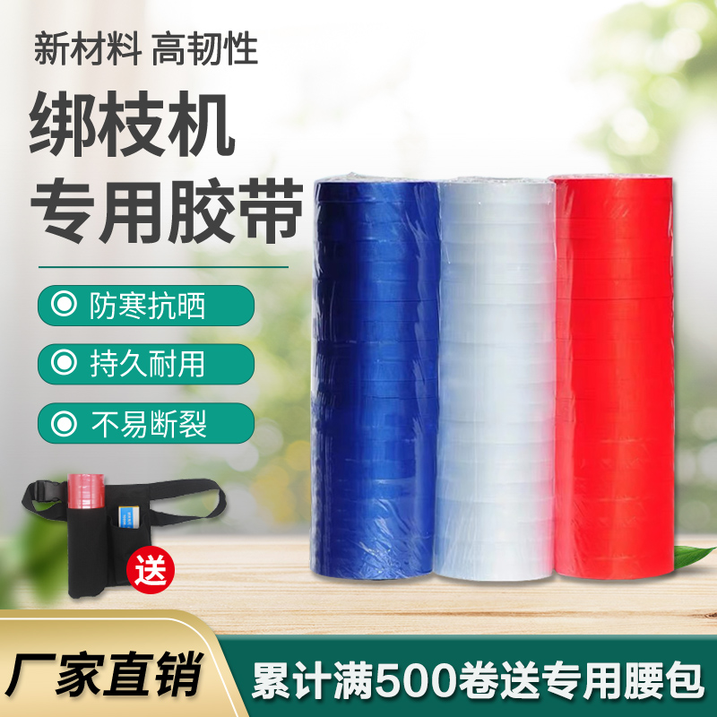 Tomato Grape Binding machine adhesive tape tied to paper tying the branch Pezier tied with rope and nails tied to the end of the line