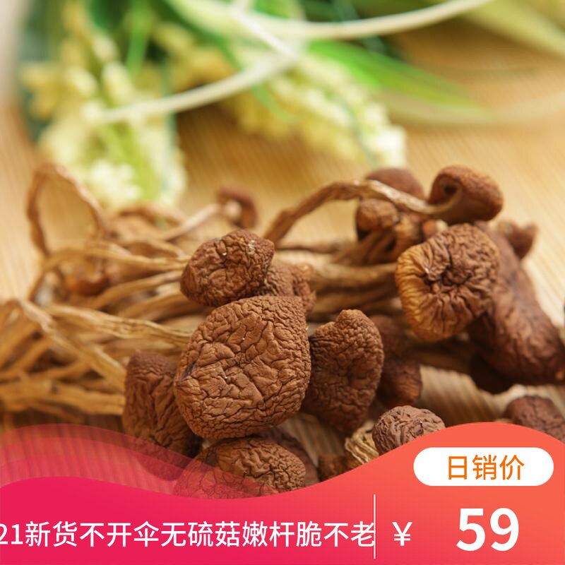 Gutian farm tea mushroom dried goods do not open the umbrella 500g Gutian specialty fungus tea mushroom wild tea mushroom dried goods