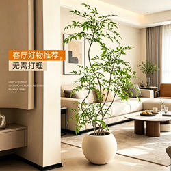 Artificial Green Plant Nandina Domestica for Indoor Living Room Sofa Side, Decorative Potted Plant with a High-End Feel, Faux Tree