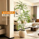 Artificial Green Plant Nandina Domestica for Indoor Living Room Sofa Side, Decorative Potted Plant with a High-End Feel, Faux Tree