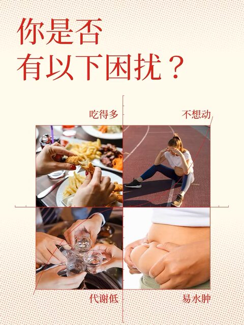 Chimei Research Probiotics Body Fat Burner Oil Orange Bar for Men and Women, Adult Body Weight Management, Digestive Aid, and Meal Savior