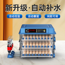 Egg incubator water bed small egg rutin incubator small machine household fully automatic intelligent incubator incubator