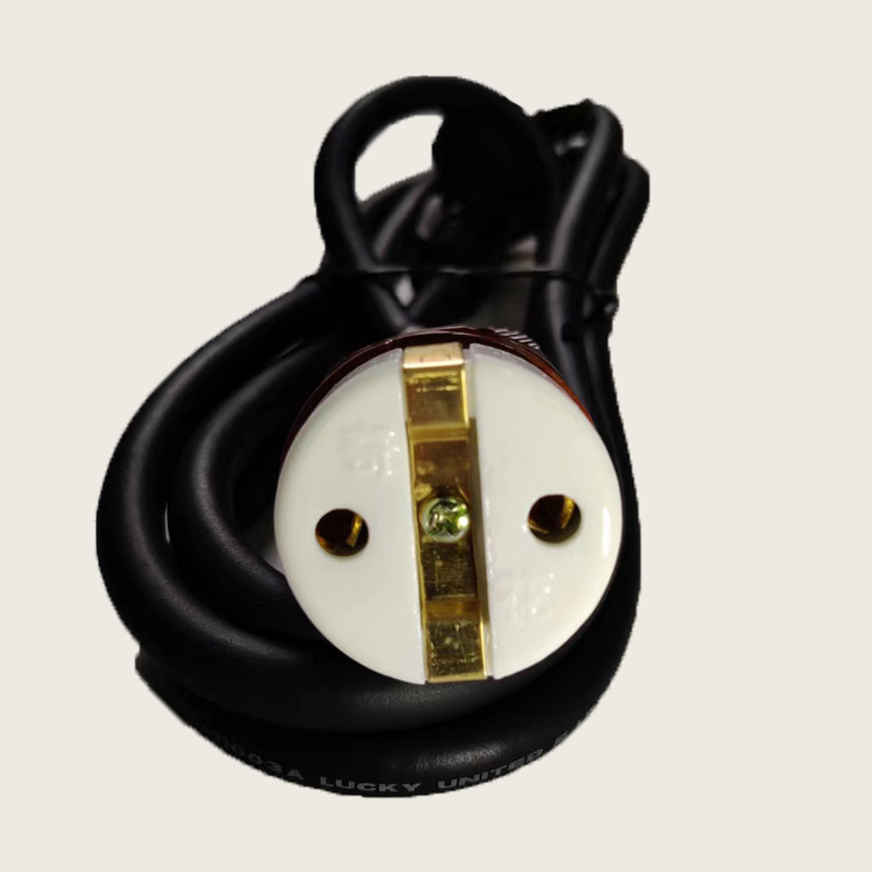 Qihua Portable Sterilizer Power Cord Steam Pressure Sterilizer Connection Cable Accessories Sterilizer Universal Plug