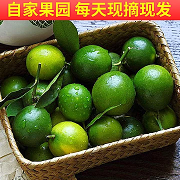 【果鲜聚】新鲜皮薄多汁小青柠小金桔2斤[1元优惠券]-寻折猪