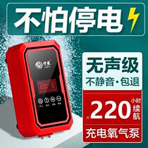 Ultra-quiet small household oxygen pump for charging dual-use AC DC oxygen pump