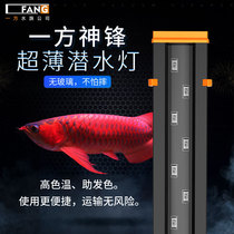One side fish tank ultra-thin led diving waterproof magic lamp red dragon intensive breeding lamp koi arhat brightening hair color lamp 5500k