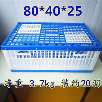 Pigeon racing supplies appliances plastic flying cage pigeon cage wooden cage set pigeon cage portable cage bamboo wooden pigeon cage