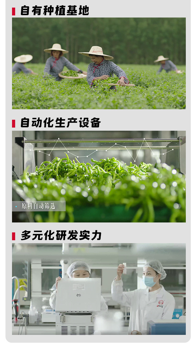 安享好物 安享C级油辣椒-川娃子油泼辣子 企标 