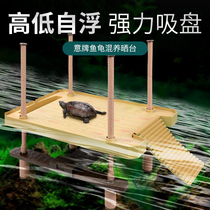 Turtle Sun Terrace Climbing Terrace Water Turtle Grass Turtle High Water Level Climbing Ladder Shelter From House Basil Sunburn Back Terrace Floating Island Stone