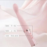 Пара вибрационных стержней разделяет стержни мастурбации, вставленные в электрический массаж, инструмент для секса, инструмент сексуального продукта женщин