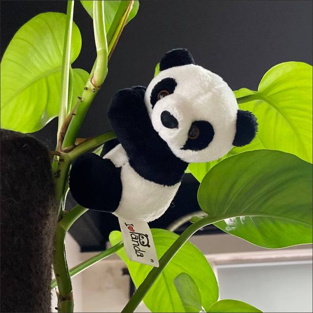 Giant panda clip doll ຕົບແຕ່ງ simulation ໄມ້ໄຜ່ປີນ doll pendant Sichuan Chengdu ຖານຂອງປະທານແຫ່ງການເດີນທາງ