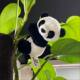 Giant panda clip doll ຕົບແຕ່ງ simulation ໄມ້ໄຜ່ປີນ doll pendant Sichuan Chengdu ຖານຂອງປະທານແຫ່ງການເດີນທາງ