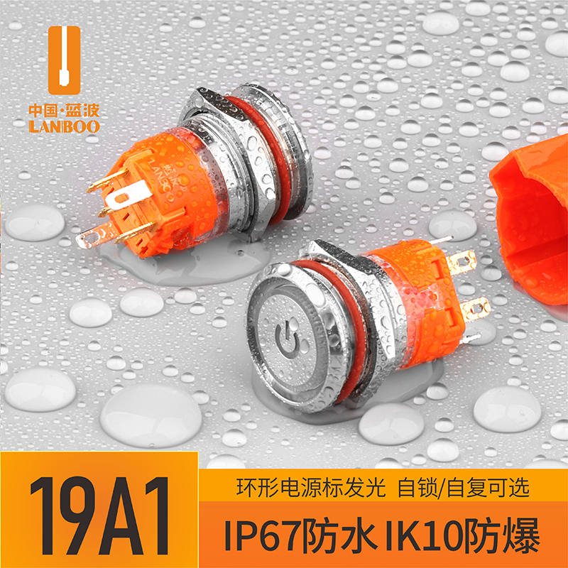Blue Wave Hot Sell 19mm Metal Button Switch IP67 Waterproof 24220V Ring power with lamp stainless steel