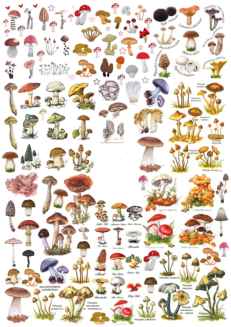 Uncut hand account sticker salt material function clip cute little mushroom cartoon small object Japanese text collage