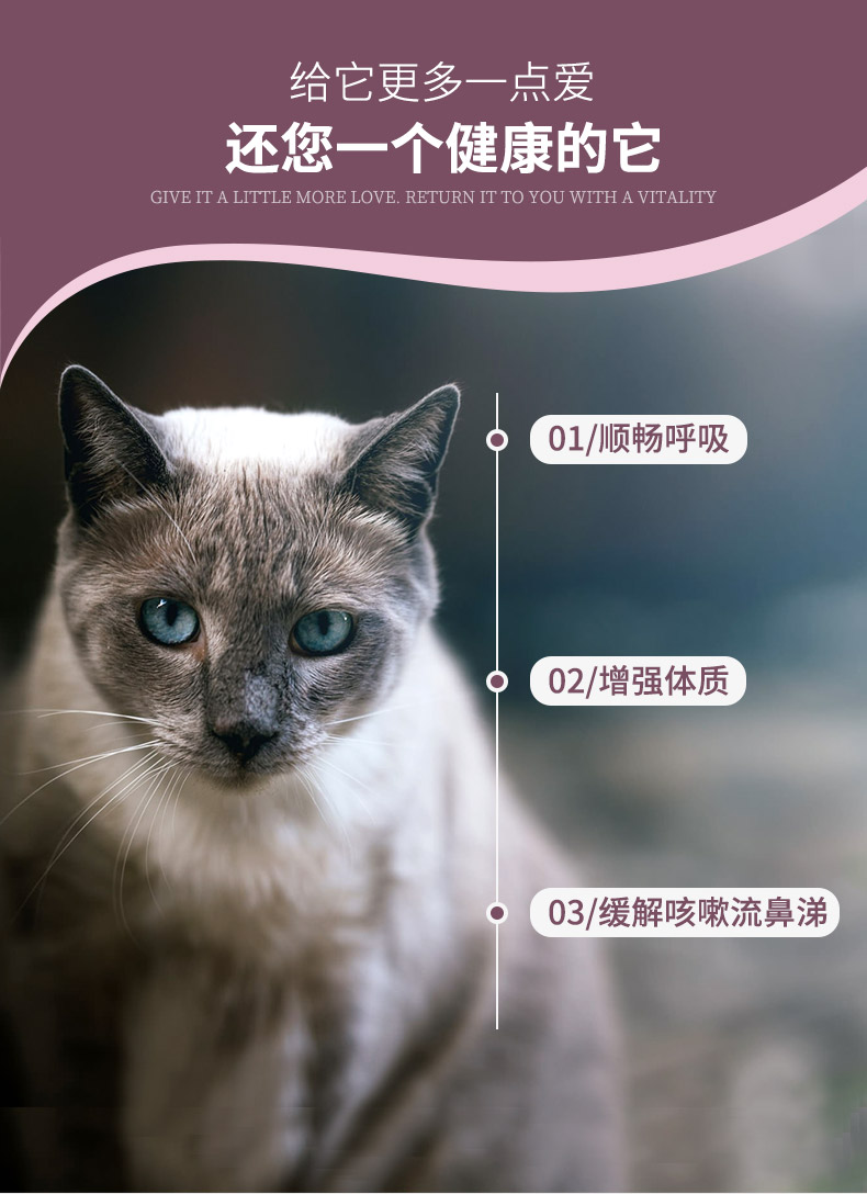 Viscon L-Lysine Granules for Cat Tăng cường khả năng của cơ thể để cải thiện hơi thở của mèo một cách trơn tru 300g - Cat / Dog Health bổ sung sữa cho chó mang thai
