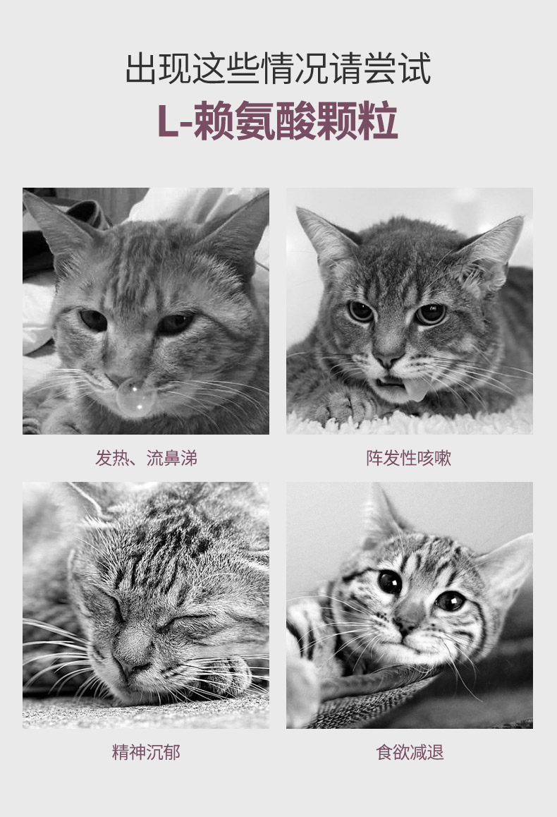 Viscon L-Lysine Granules for Cat Tăng cường khả năng của cơ thể để cải thiện hơi thở của mèo một cách trơn tru 300g - Cat / Dog Health bổ sung sữa cho chó mang thai