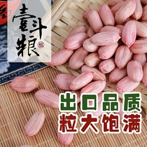 2021 Shandong Peanut Rice Raw new selected extra-large farmhouse red leather raw peanut rice 5 catty of peanut seed