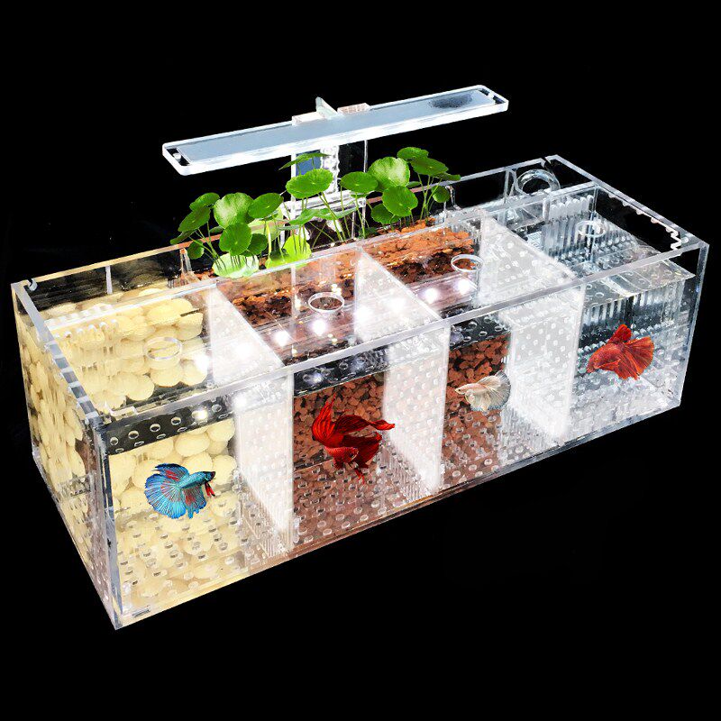 Creative Fighting Fish Tank 4 G Isolation Small Fish Tank Lamp Water Pump Filter Acrylic Fish Tank Can Be Superimposed for Propagation Incubation