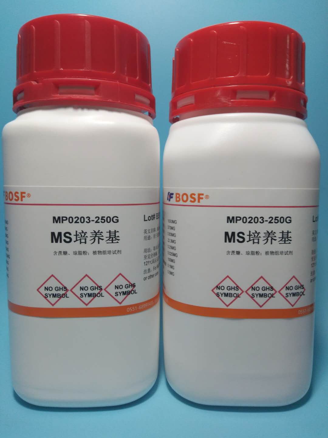 MS medium contains sucrose powder ] 250g 500g group of cultivators can be invoiced orchids