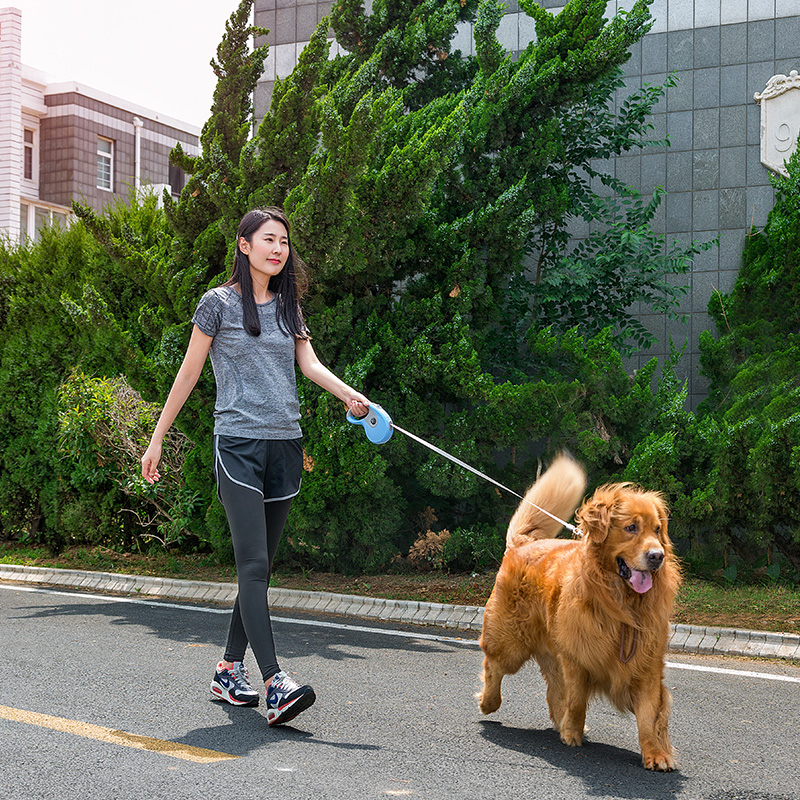 Dog Traction Rope Automatic Telescopic Dog Chain Sub Puppy Teddy Chai Dog Walking Dog Rope With Large Small Dog Pet Supplies