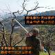 Electric pruning branch shears telescopic lengthening rod thickened aluminum alloy lithium battery pruning shears garden pruning tool
