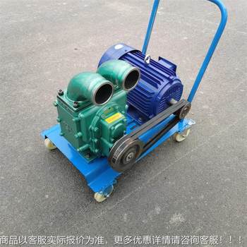 Strong suction force feces pump in the breeding farm, self-priming and self-exhausting manure pump with maintenance ports on both sides, mud sewage pump