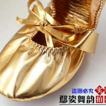 High-end adult belly dance shoes soft-soled dance shoes Indian dance practice clothes ballet gold tendon sole dancing
