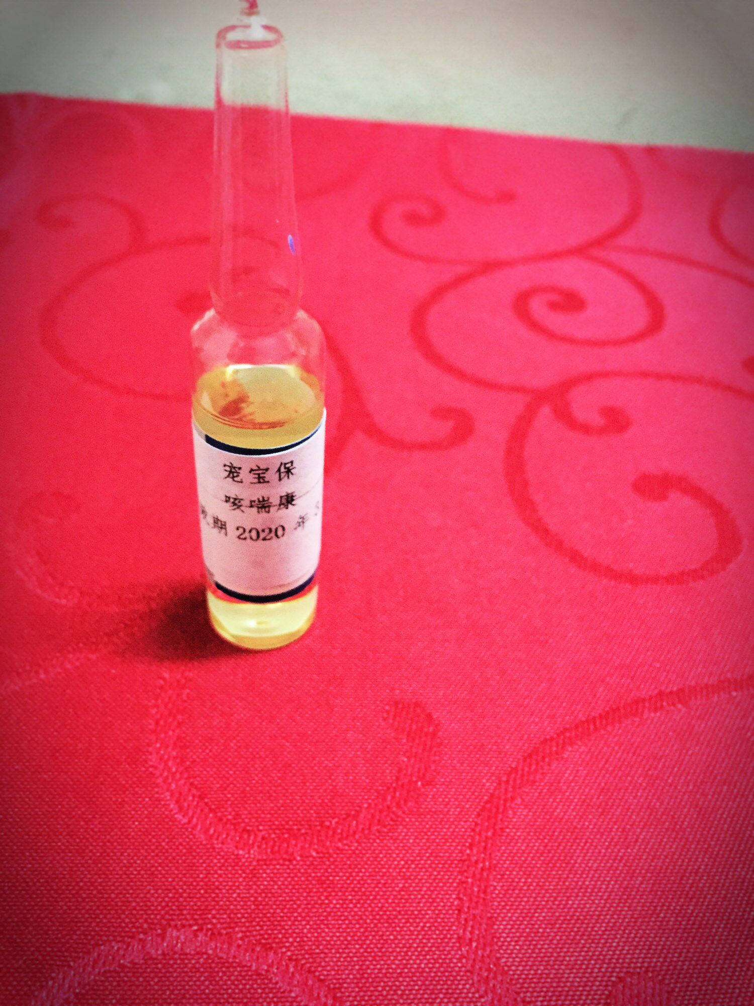 Pet Baobao veterinarian recommends pet rabbit guinea pig chinchilla hamster golden bear bacterial infection sneezing rhinitis nasal discharge